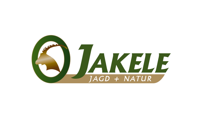 Logo neu, Logo gestalten