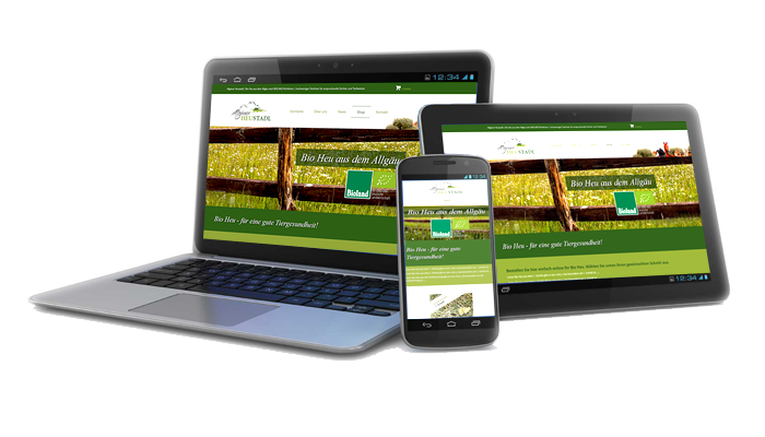 Internetseiten gestsalten, entwerfen, programmieren, Kempten